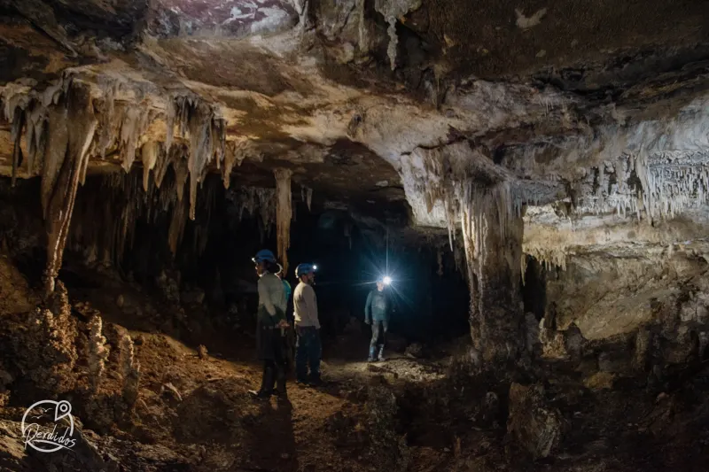 Bosques de Pandora, El Peñón de Santander