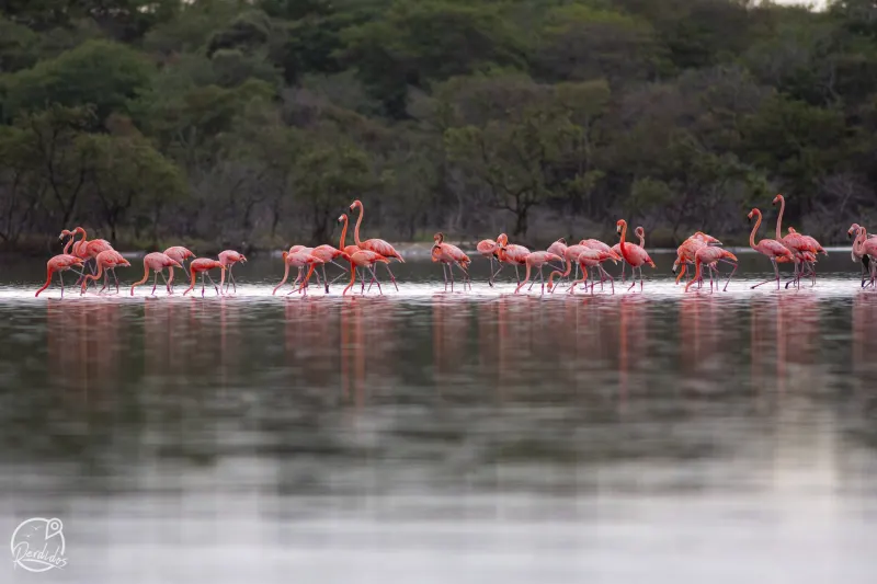 Alta Guajira, experiencia con sentido social