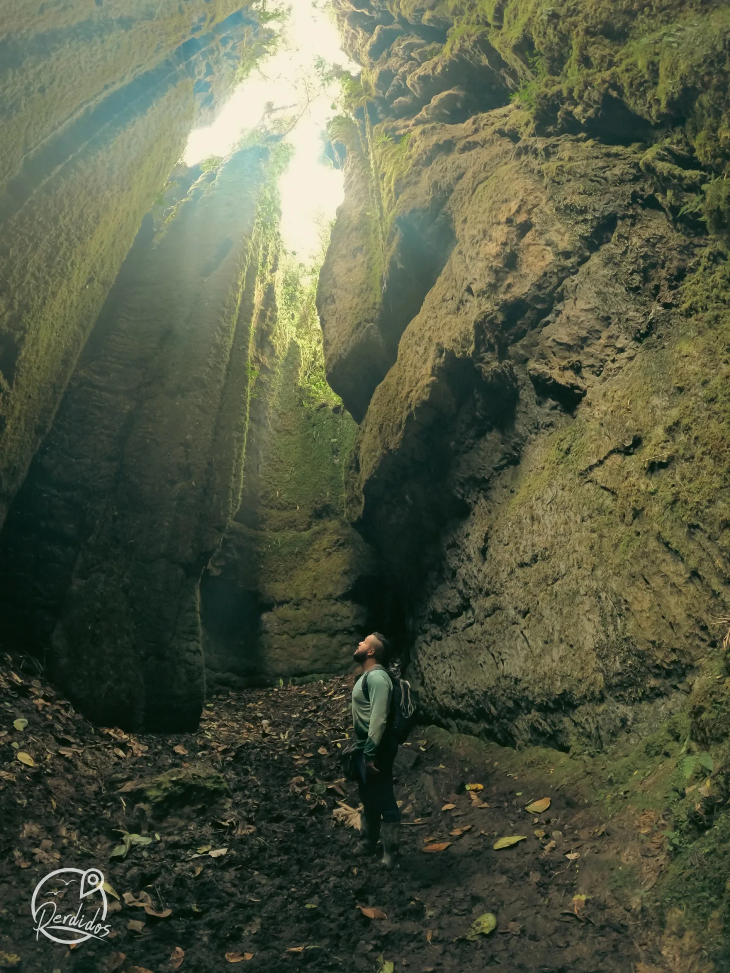 Bosques de Pandora, El Peñón de Santander