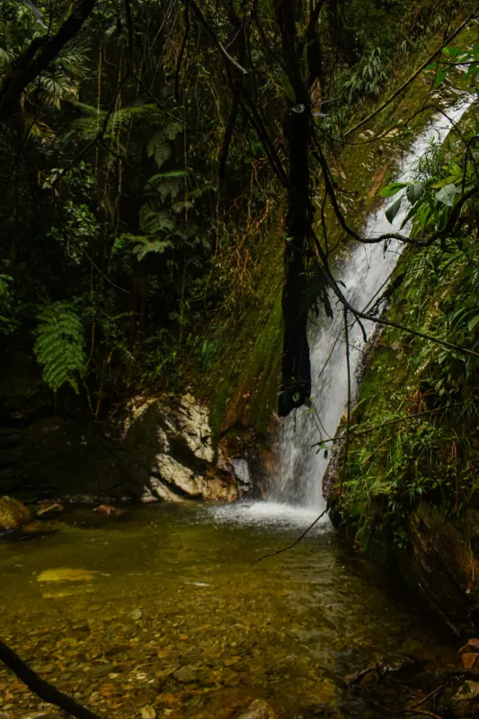 Chorro Campanas y El silencio