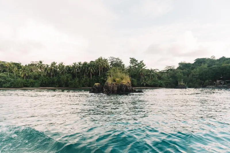 Nuquí, temporada de Ballenas