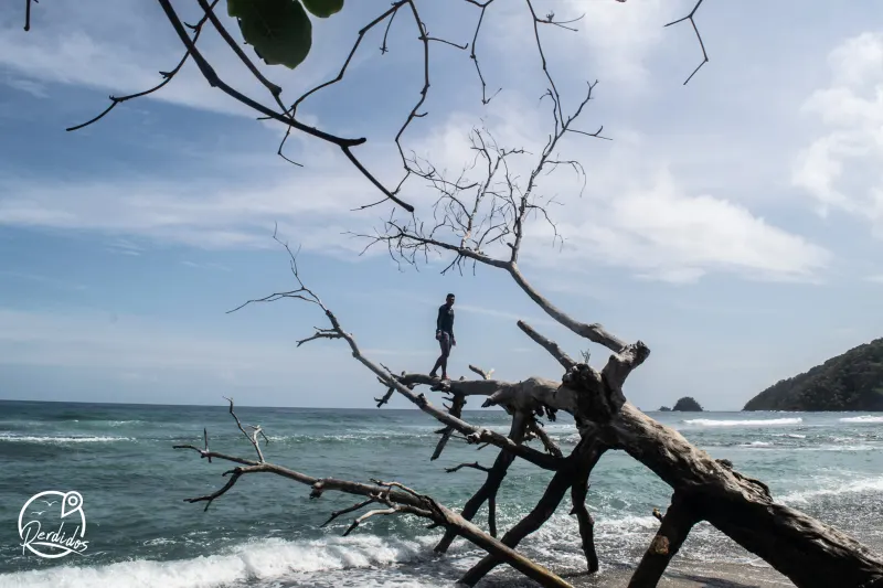 Capurganá, Selva y Mar Atlántico