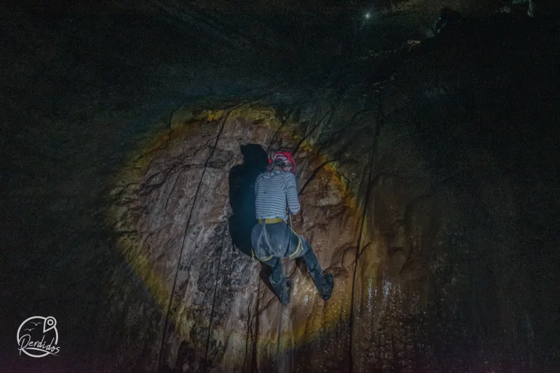 Bosques de Pandora, El Peñón de Santander
