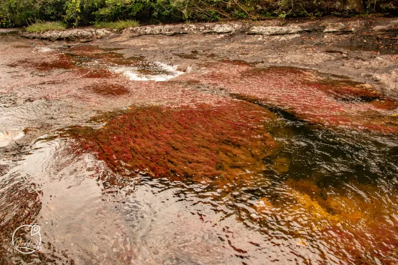 Caño Cristales, aventura 4x4
