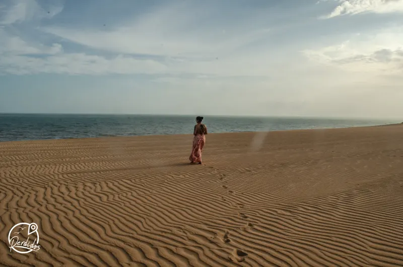 Alta Guajira, experiencia con sentido social