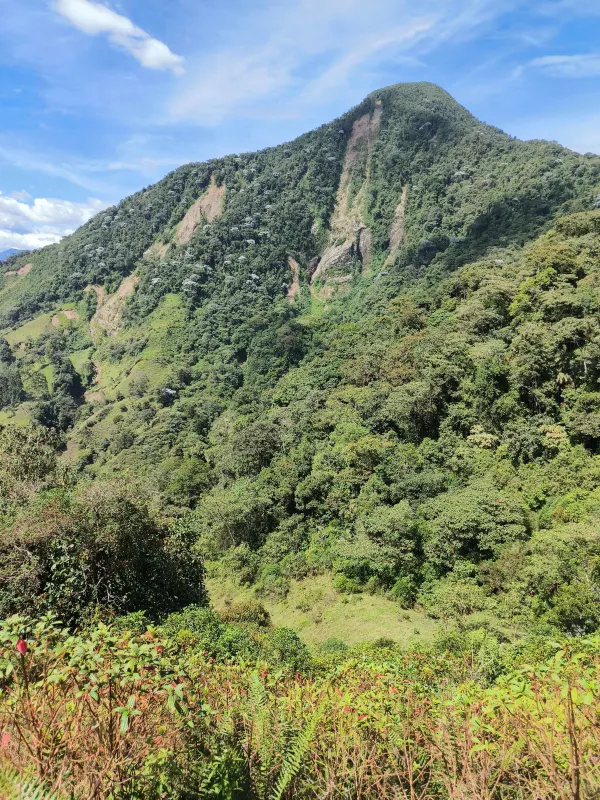 Cumbre Cerro Bravo