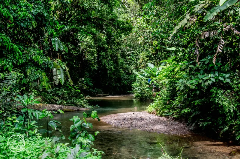Mutatá, Paraíso de Aguas Cristalinas