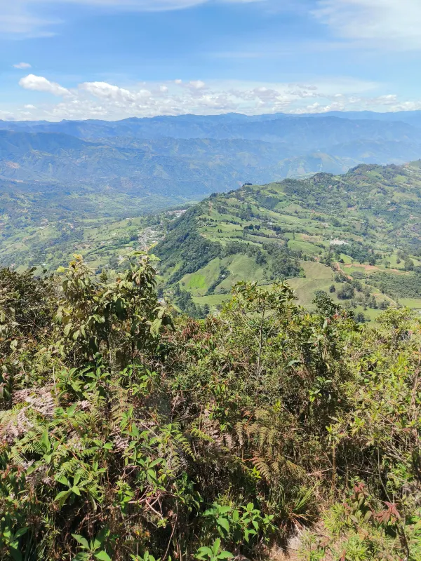 Cumbre Cerro Bravo