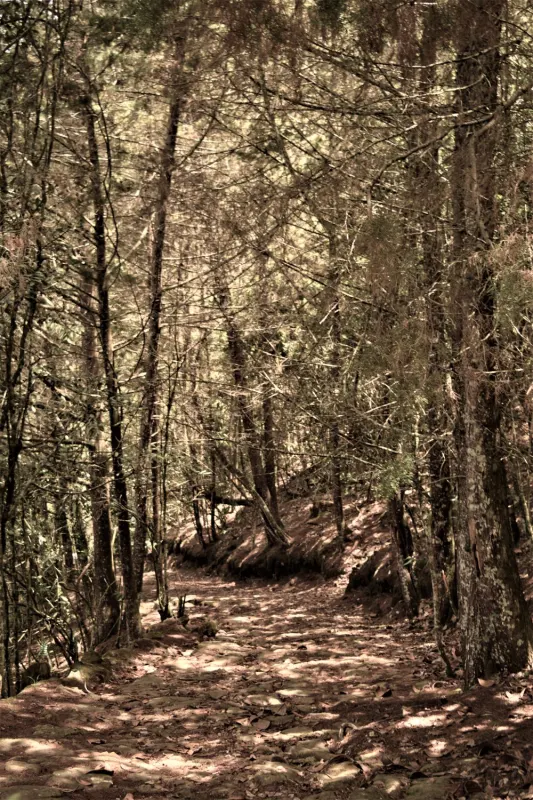 Travesía Quitasol a San Pedro