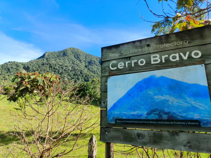 Cumbre Cerro Bravo