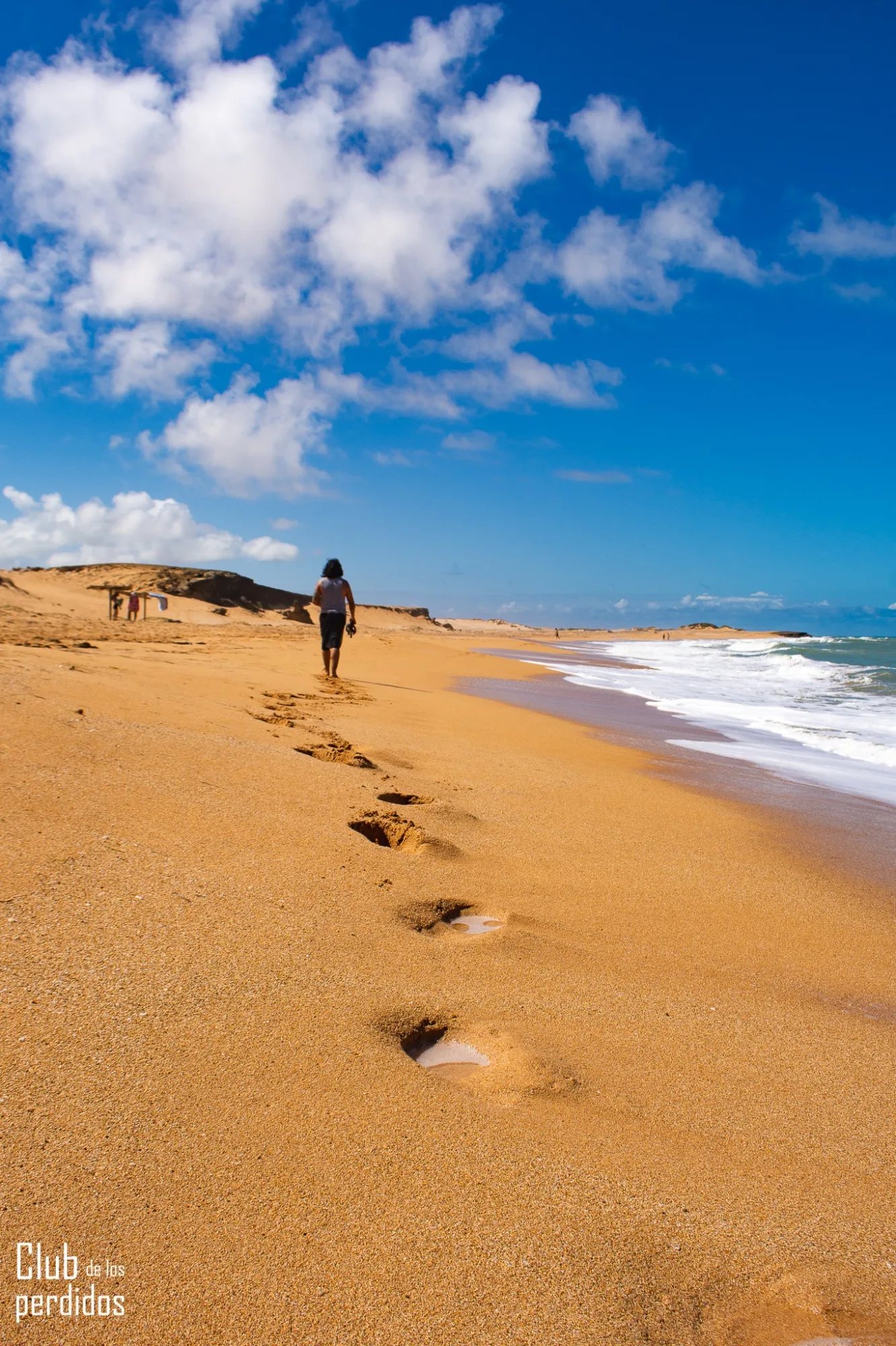 Alta Guajira, experiencia con sentido social