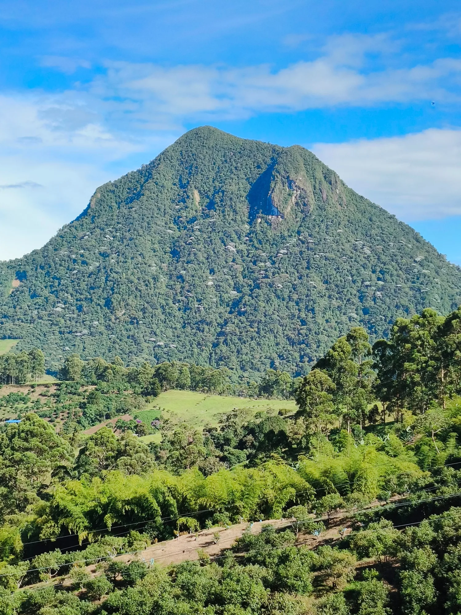 Cumbre Cerro Bravo