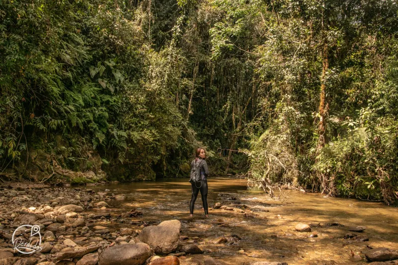 El Retiro, Paso del Toro