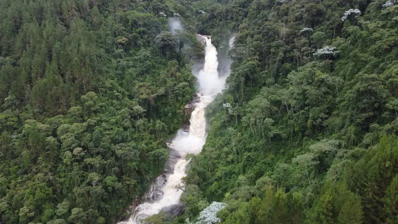 Chorros de Tapartó