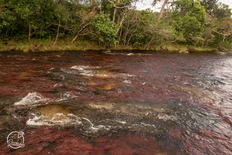 Caño Cristales, aventura 4x4